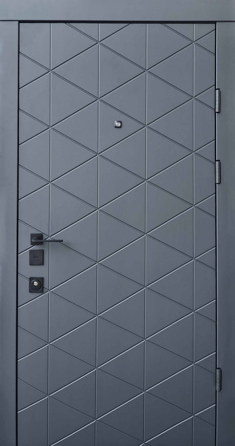 Входные двери QDOORS Коллекция "Авангард"модель "Бакарди" фото 1 | Соло Дверь