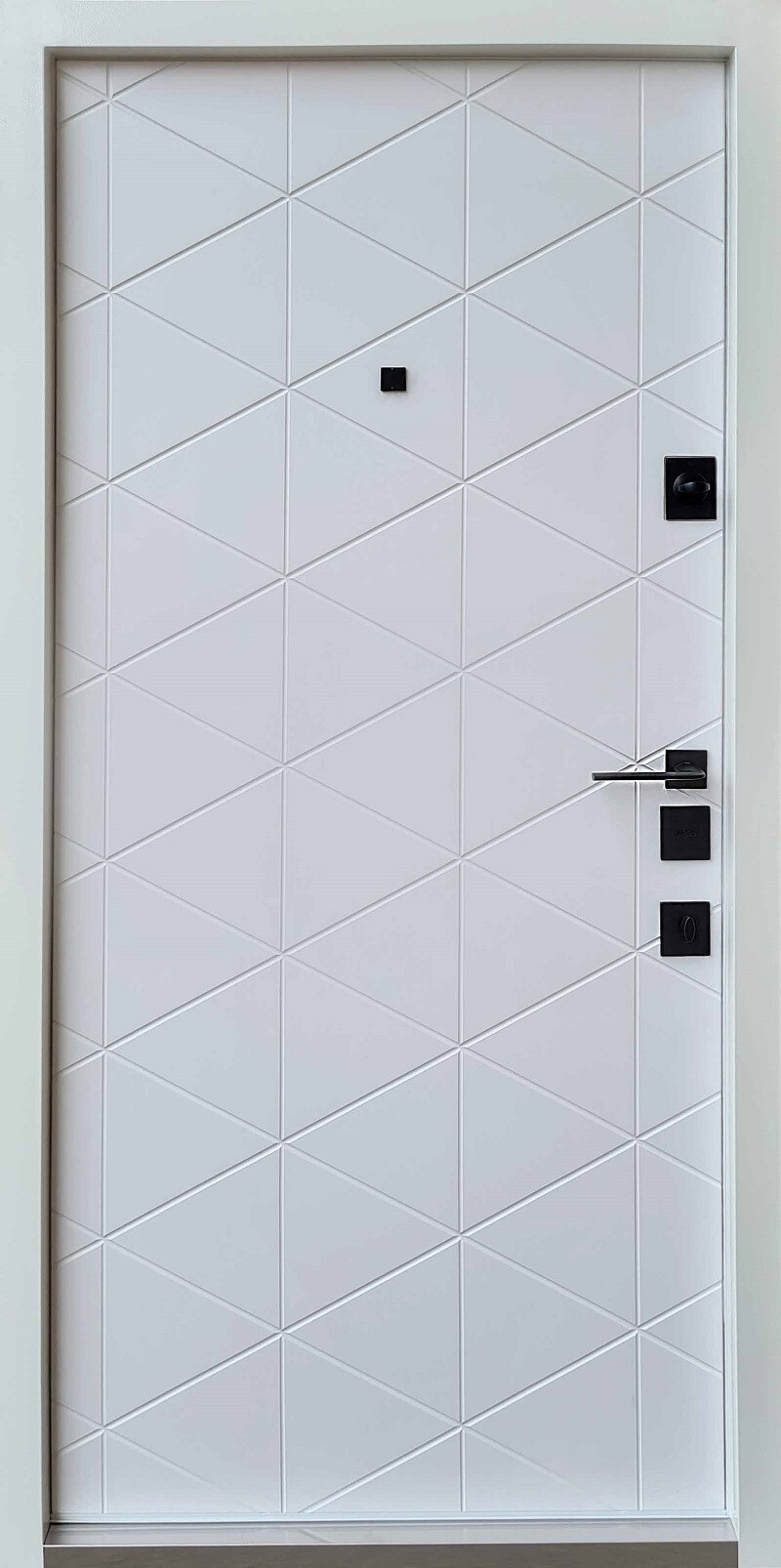 Входные двери QDOORS Коллекция "Авангард"модель "Бакарди" фото 2 | Соло Дверь