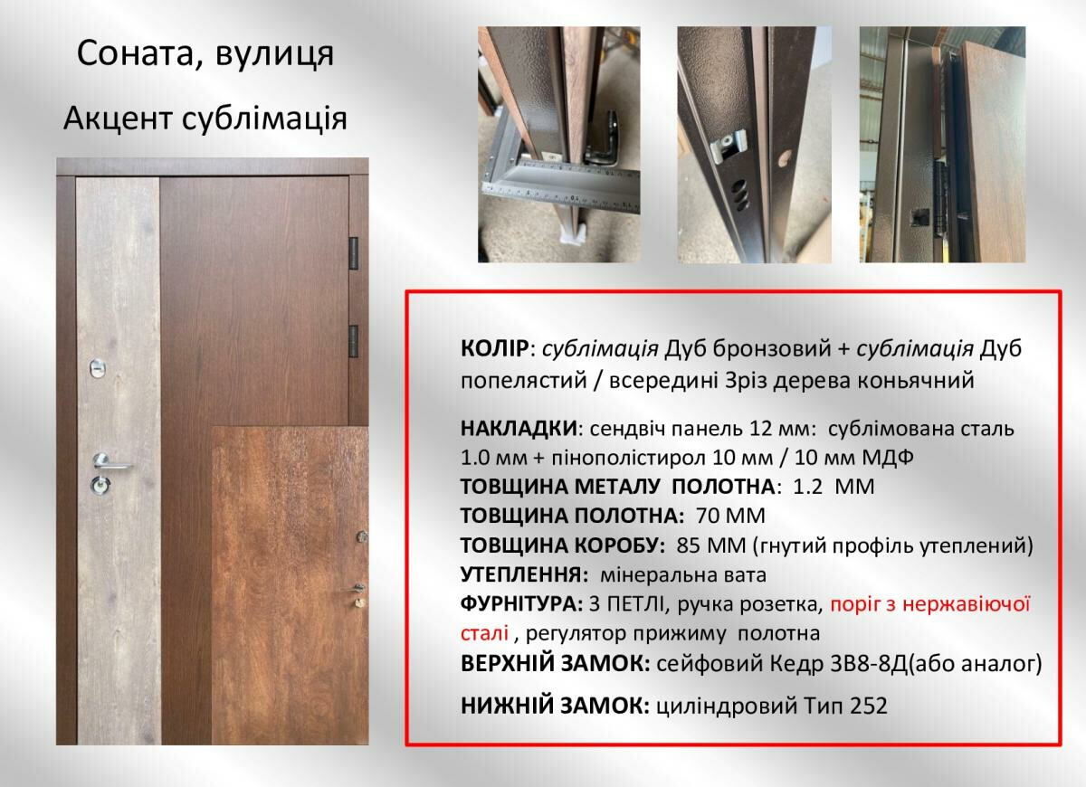 Вхідні двері REDFORT Акцент "Соната сублімація" вулиця фото 6 | Соло Двері